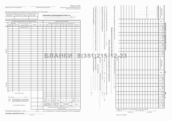 Товаро денежный отчет образец